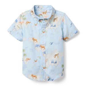 The Poplin Shirt