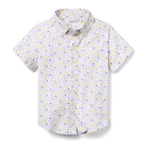 The Poplin Shirt