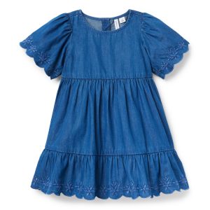 Embroidered Floral Chambray Dress