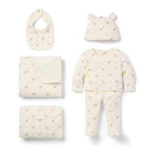 Baby Bundle of Love Valentine Gift Set