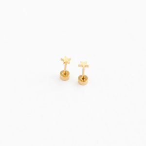 Mini Star Stud Earrings
