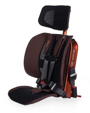 Pico Portable Car Seat