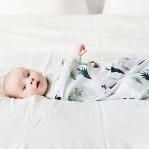 Bamboo Rayon Muslin Swaddle Yosemite