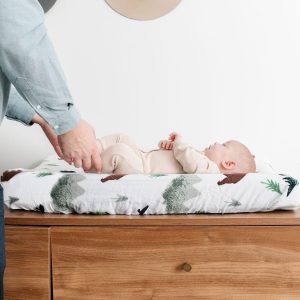 Cotton Muslin Changing Cover Yosemite