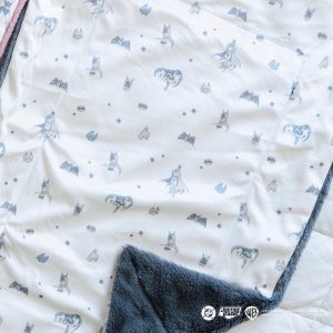 Minky Lush Blanket in Batman