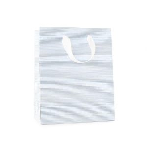 Blue Painted Stripe Gift Bag
