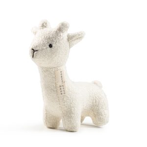 Boucle Llama