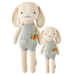 Little Henry the bunny