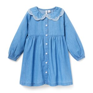 Chambray Embroidered Collar Dress