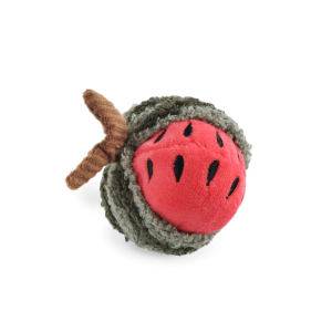 Watermelon Rattle