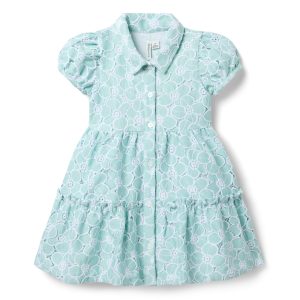 Floral Lace Collared Dress