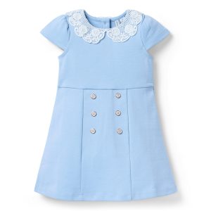 Lace Collar Ponte Dress
