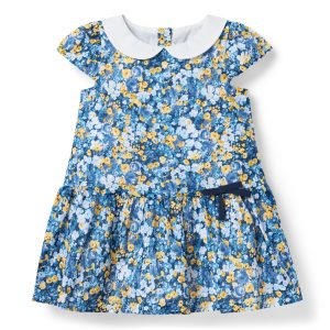 Floral Dropwaist Dress