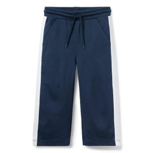 The Stripe Wide Leg Ponte Pant